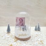 Campânula Natal